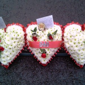 Triple heart