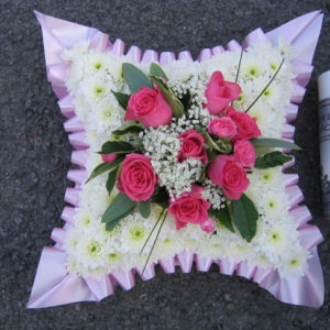 Cushion