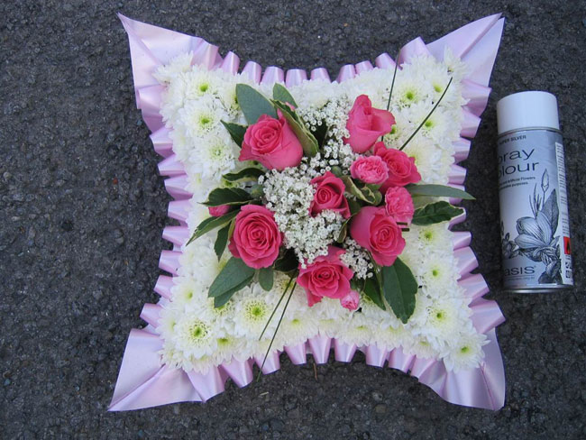 Cushion